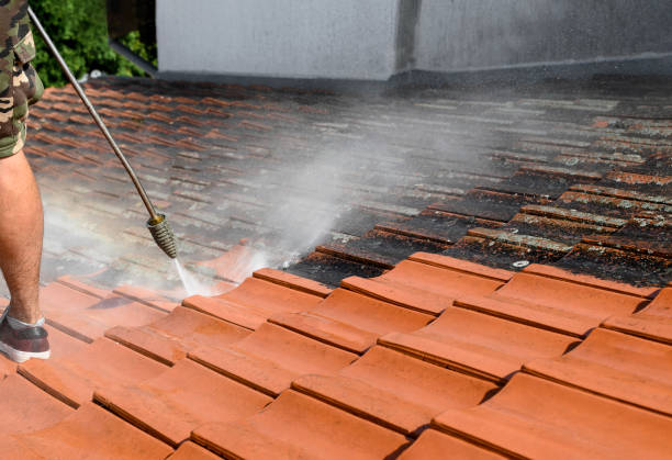 Best Residential Pressure Washing Services  in Hauula, HI