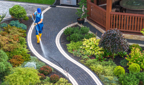 Best Local Pressure Washing Services  in Hauula, HI